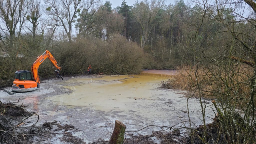 Travaux Janvier 2022 - Site des Salines