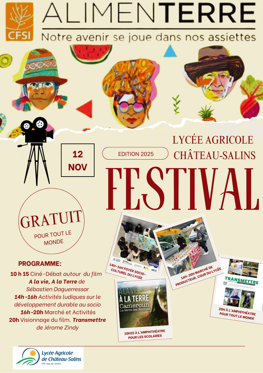 affiche festi