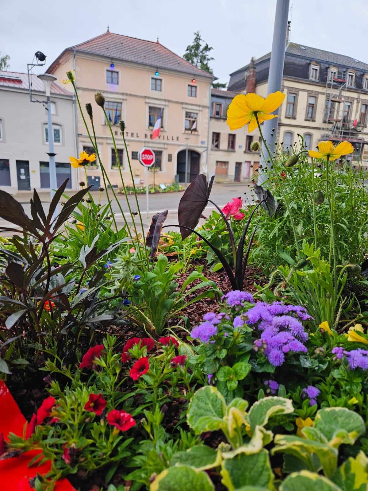 449444007_2815333495313706_8133372684660003697_n